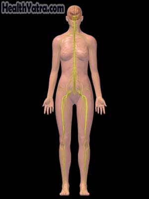 Agoraphobia, Causes, Symptoms, and Cost Surgery Treatment in IndiaAgoraphobia Agoraphobia