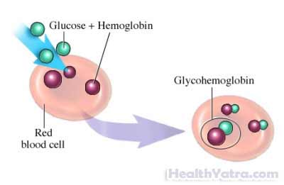 Glycohemoglobin