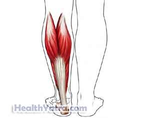 Calf Muscle Strain 1