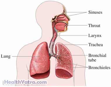 Pulmonary Function Tests 2