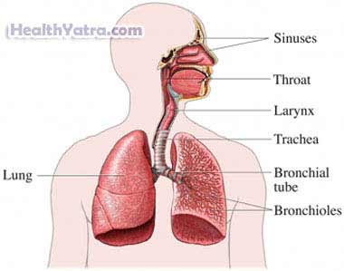 Pulmonary Function Tests 4