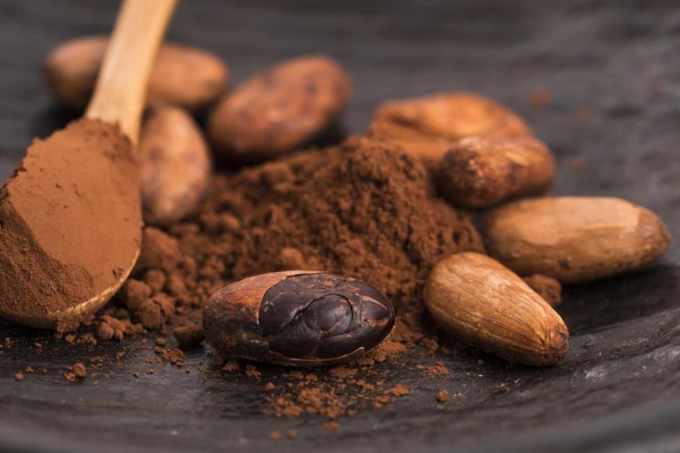 Cocoa Can Reduce The Risk Of Cardiovascular Disease