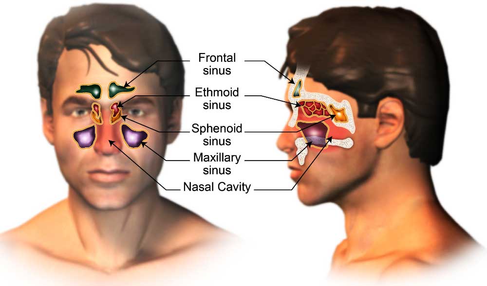 Paranasal Sinuses Cancer Treatment in India, Cost Treatment Surgery Top Hospital Best Doctors in India