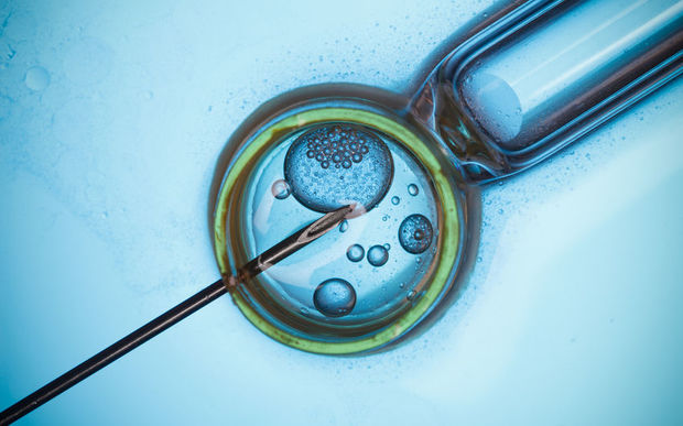 भ्रूण में आनुवंशिक रूप से संशोधन