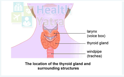 Time to See a Doctor for Overactive Thyroid Gland