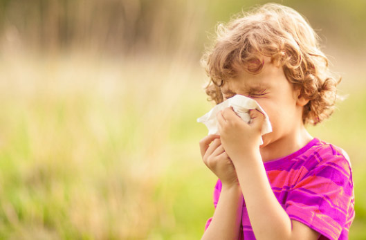 If these symptoms are familiar and you think your child has hay fever