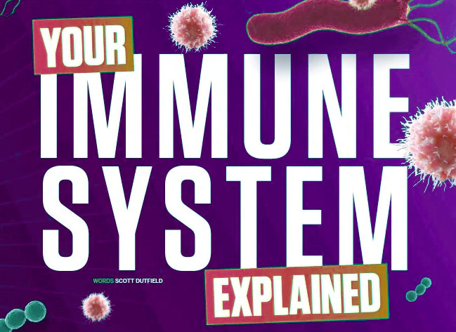 आपकी प्रतिरक्षा प्रणाली के बारे में बताया गया