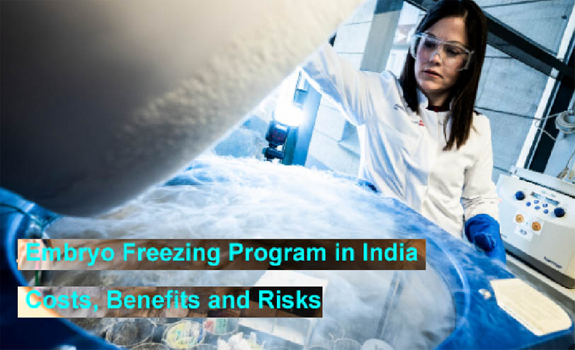 Embryo Freezing Program in India Costs Benefits and Risks