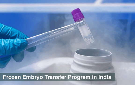 Frozen Embryo Transfer Program in India