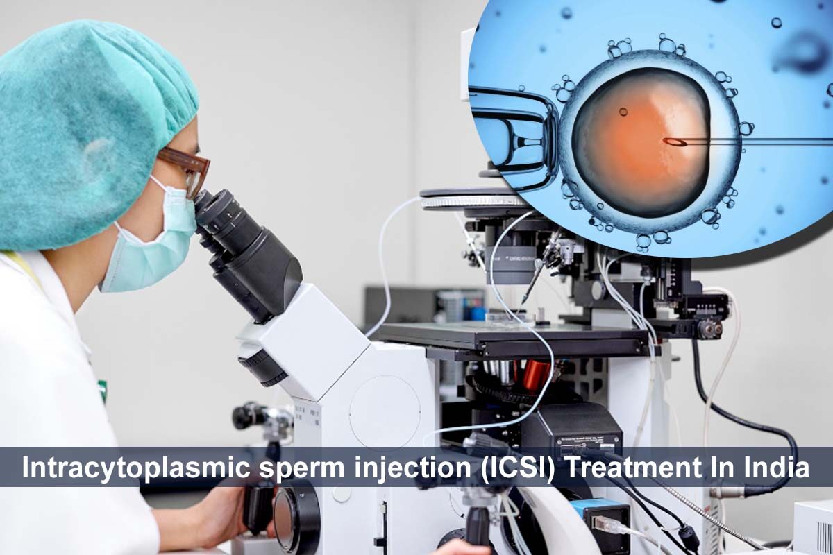 Intracytoplasmic sperm injection ICSI Treatment In India