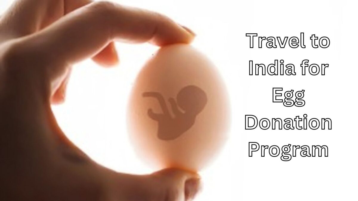 अंडा दान कार्यक्रम के लिए भारत की यात्रा इंजी